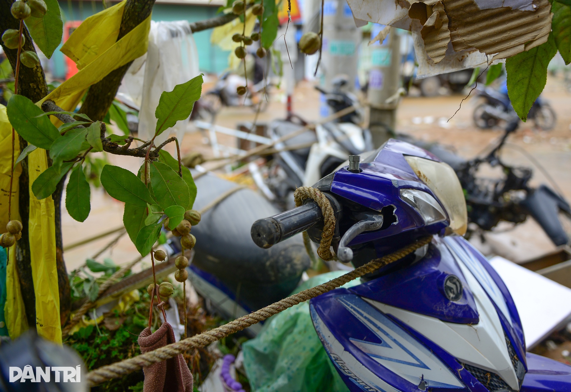 Một đêm lũ dữ, nhiều gia đình ở Lâm Đồng trắng tay - 7