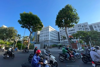 Chủ đầu tư metro số 2 nói lý do phải đốn hơn 400 cây xanh