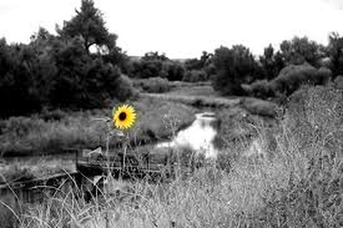 Xôn xao chuyện 3 nữ sinh lớp 9 bỏ nhà đi tìm cuộc sống tự lập