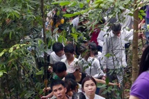 Hàng ngàn người bất chấp nguy hiểm, băng rừng lên lễ Đền Hùng