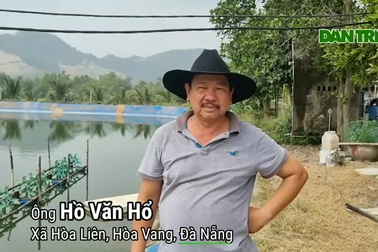 Bỏ nuôi tôm chuyển qua nuôi cá dìa, bác nông dân thu lãi tiền tỷ
