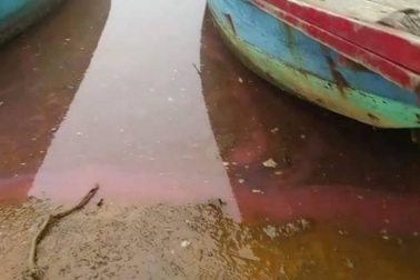 Lại xuất hiện dải nước đỏ dài 30m, kéo loang trên biển