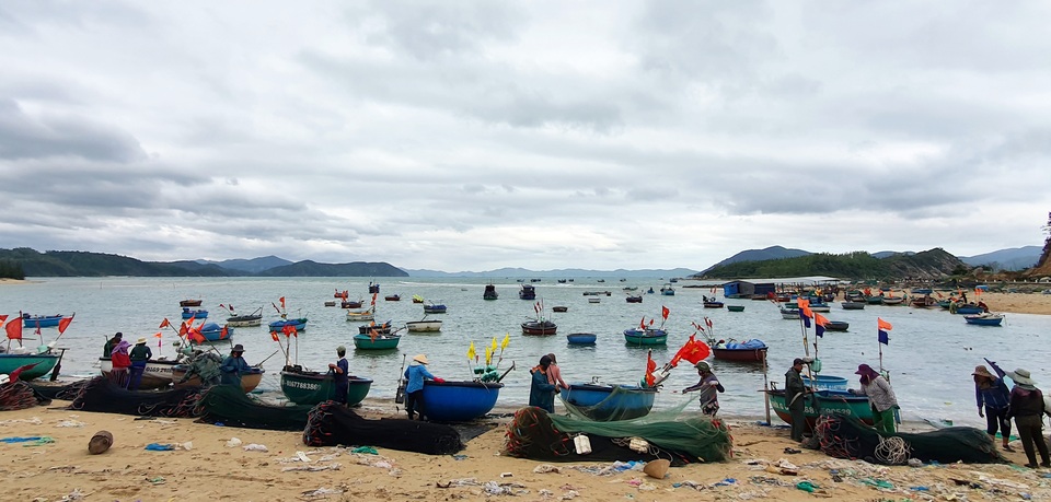 Độc đáo nghề săn tôm hùm giống hốt bạc triệu - 10 Độc đáo nghề săn tôm hùm giống hốt bạc triệu - 10