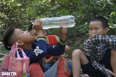 Những đứa trẻ đu mình trên cây, vét đất nhặt hạt dẻ kiếm tiền