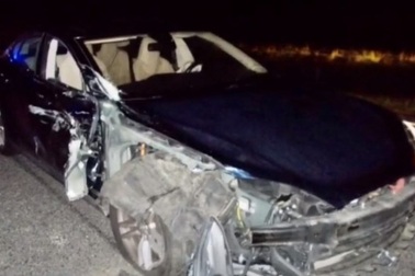 Tài xế mải xem phim, xe Tesla tông vào xe cảnh sát