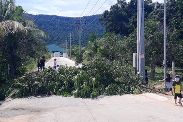 Nhà máy xử lý rác Phú Quốc bốc mùi, dân chặn xe rác