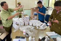 "Tóm gọn" lô dược phẩm Hàn Quốc không giấy tờ đi ra từ sân bay Nội Bài