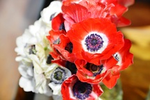 Hoa “độc”, lạ ồ ạt về Sài Gòn phục vụ Tết