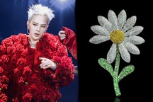 Hoa cúc thiếu cánh của G-Dragon có gì đặc biệt khiến giới trẻ phát sốt?