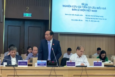 Chuyên gia cho rằng nên điều chỉnh giá điện 2-4 lần/năm.