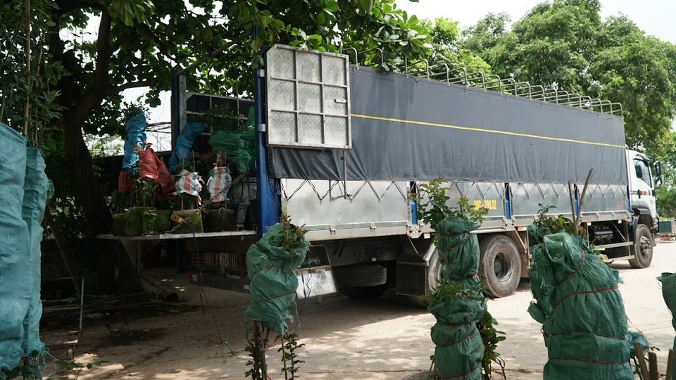 Về thủ phủ trồng hoa gần Hà Nội, người dân lái xe sang đi thăm vườn - 4 Về thủ phủ trồng hoa gần Hà Nội, người dân lái xe sang đi thăm vườn - 4