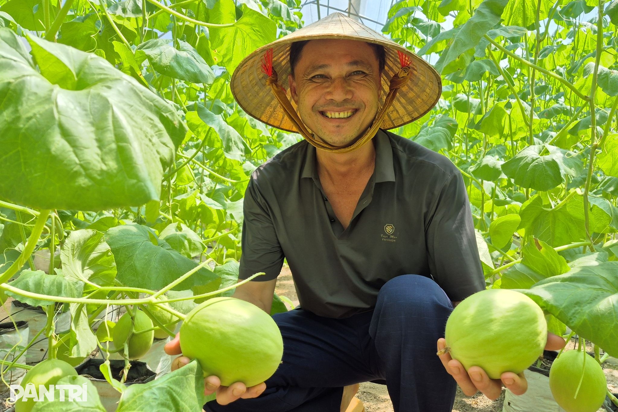 Nông dân chỉ học hết lớp 2 thành triệu phú nhờ trồng dưa quý - 1