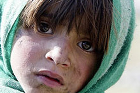 Số người chết vì động đất có thể tăng lên 40.000