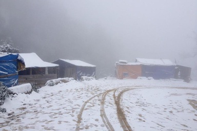 2 người thiệt mạng, gần 550 con gia súc chết trong đợt lạnh kỉ lục