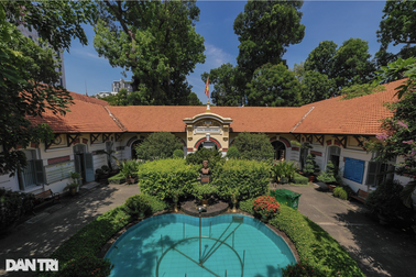 Xôn xao thông tin trường học 105 tuổi đề nghị đốn hạ 12 cây cổ thụ