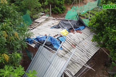 5 mẹ con ở Phú Yên sống trong chòi tạm xiêu vẹo, chắp vá tứ bề