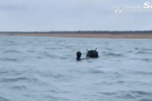 Người nhái Hải quân Ukraine phá hủy thủy lôi trên Biển Đen