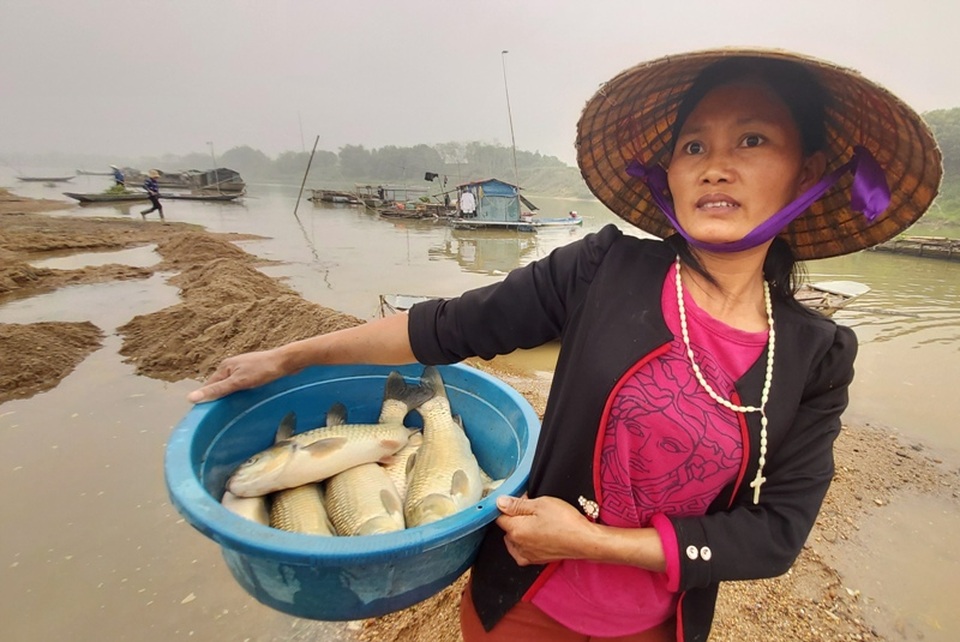Cá lồng chết hàng loạt lúc nửa đêm, dân trở tay không kịp - 9 Cá lồng chết hàng loạt lúc nửa đêm, dân trở tay không kịp - 9
