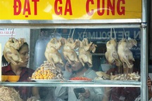 Gà thải TQ tràn ngập: Thảm họa không được kiểm soát