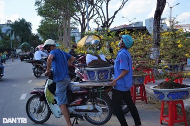 Nghề vận chuyển hoa, cây cảnh vào mùa tất bật nhất năm