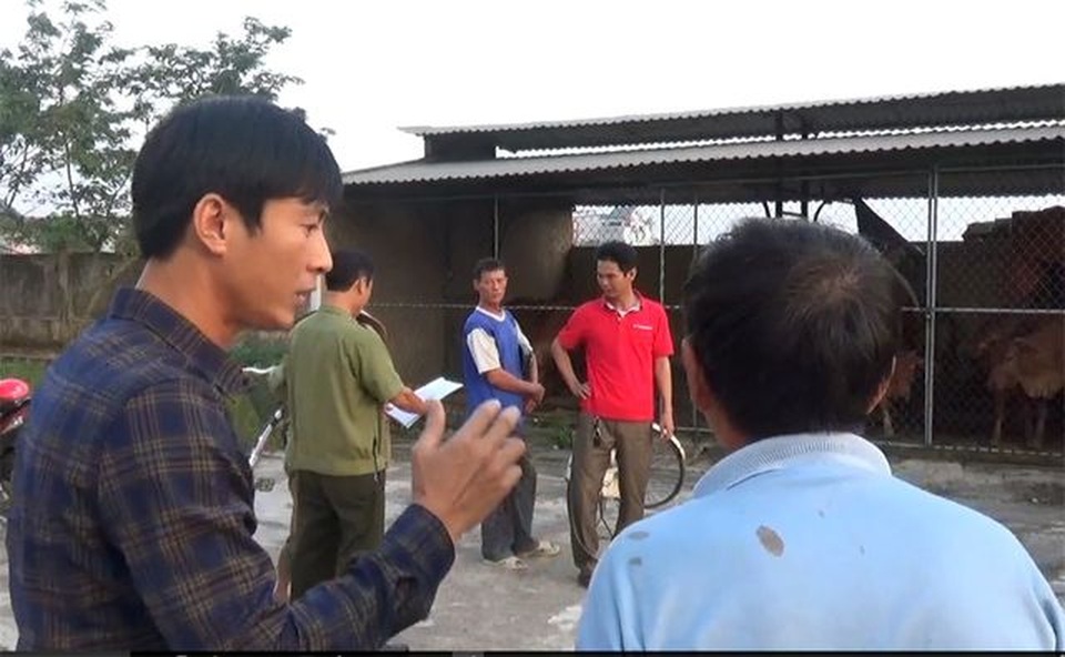Hà Tĩnh lại mở đợt cao điểm xử lý trâu bò thả rông trên quốc lộ - 2 Hà Tĩnh lại mở đợt cao điểm xử lý trâu bò thả rông trên quốc lộ - 2