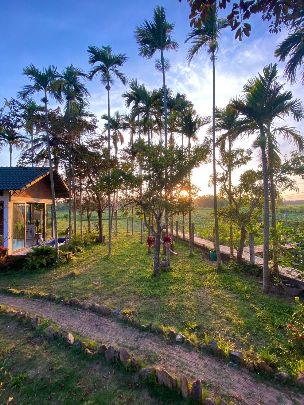 Ngôi nhà xanh mát với ao bạt ngàn sen của chàng kỹ sư - 10