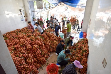 Chợ vải Bắc Giang nhộn nhịp vào mùa