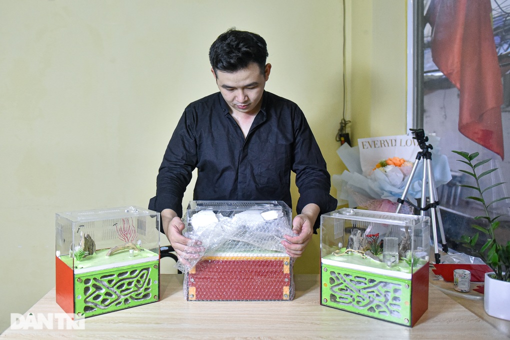 Độc đáo 9X Hà Nội nuôi đàn kiến cả nghìn con làm thú cưng - 6 Độc đáo 9X Hà Nội nuôi đàn kiến cả nghìn con làm thú cưng - 6