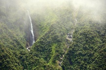 Khu "rừng mây" bí ẩn của Bolivia hé lộ hơn 20 loài chưa từng được biết đến