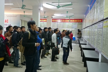 Năm 2016, Sàn GDVL Hà Nội: Hơn 50.000 chỉ tiêu tuyển dụng được rao tuyển