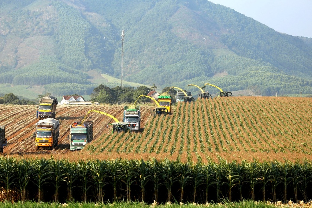TH true MILK vào top Doanh nghiệp bền vững Việt Nam 2022 - 2 TH true MILK vào top Doanh nghiệp bền vững Việt Nam 2022 - 2