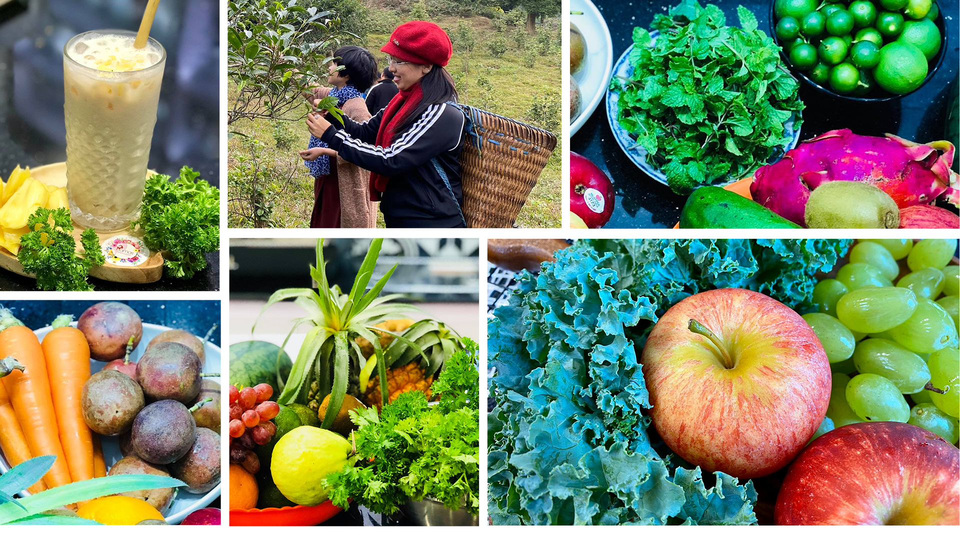 Từ nữ sinh ngủ ngày, cày đêm thành bà trùm chuỗi đồ uống sức khỏe - 6 Từ nữ sinh ngủ ngày, cày đêm thành bà trùm chuỗi đồ uống sức khỏe - 6