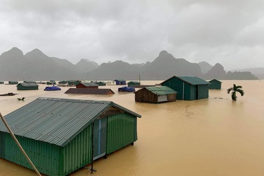 Anh hỗ trợ Việt Nam 500.000 bảng khắc phục hậu quả bão lũ