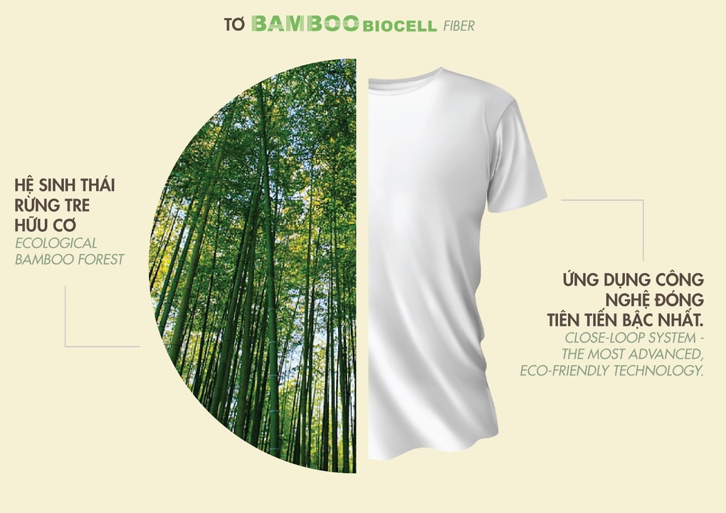 Sợi vải tre Bamboo Biocell và xu hướng thời trang xanh - 3 Sợi vải tre Bamboo Biocell và xu hướng thời trang xanh - 3