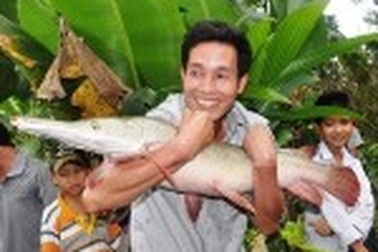 Hà Tĩnh: Bắt được cá lạ rất hung dữ