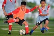 PVF tuyển sinh khóa 12, tìm kiếm tài năng bóng đá trẻ
