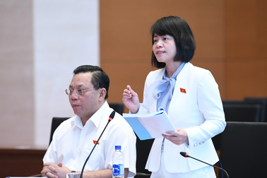 Đề xuất lập danh mục "biển số đẹp" tứ quý, ngũ quý…