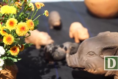 Khi heo trong tranh Đông Hồ đi vào gốm Bàu Trúc