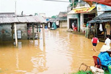 Bão số 5 gây thiệt hại 10 tỷ đồng