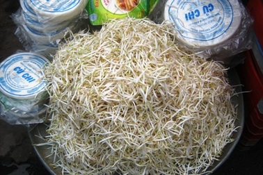 Không phát hiện “độc tố” trong mẫu giá đỗ ủ hóa chất