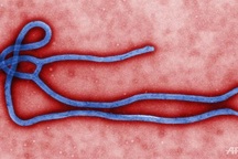 Dịch Ebola lui dần, nhưng vẫn cần cảnh giác