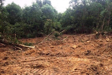 Dân phản đối việc khai thác đất trong khu bảo tồn thiên nhiên