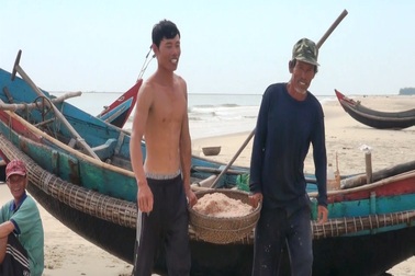 Ngư dân vùng biển bãi ngang phấn khởi vì bội thu ruốc biển