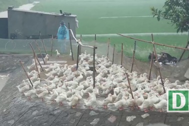 Huyện đầu bão trước "giờ G"