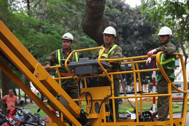 Hà Nội: Theo chân những người cắt tỉa cây xanh trên xe cẩu chuyên dụng