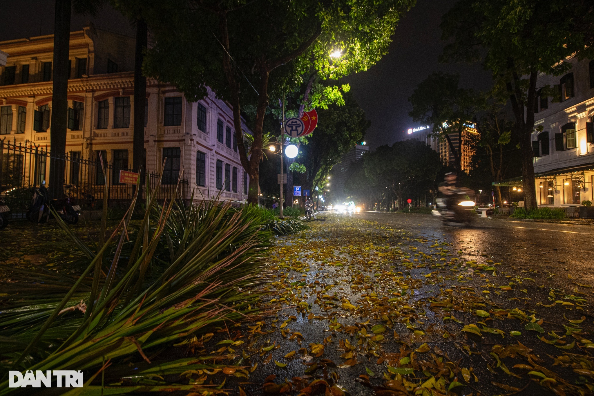 View - Hàng loạt cây xanh bật gốc, gãy cành sau cơn mưa dông lớn ở Hà Nội | Báo Dân trí