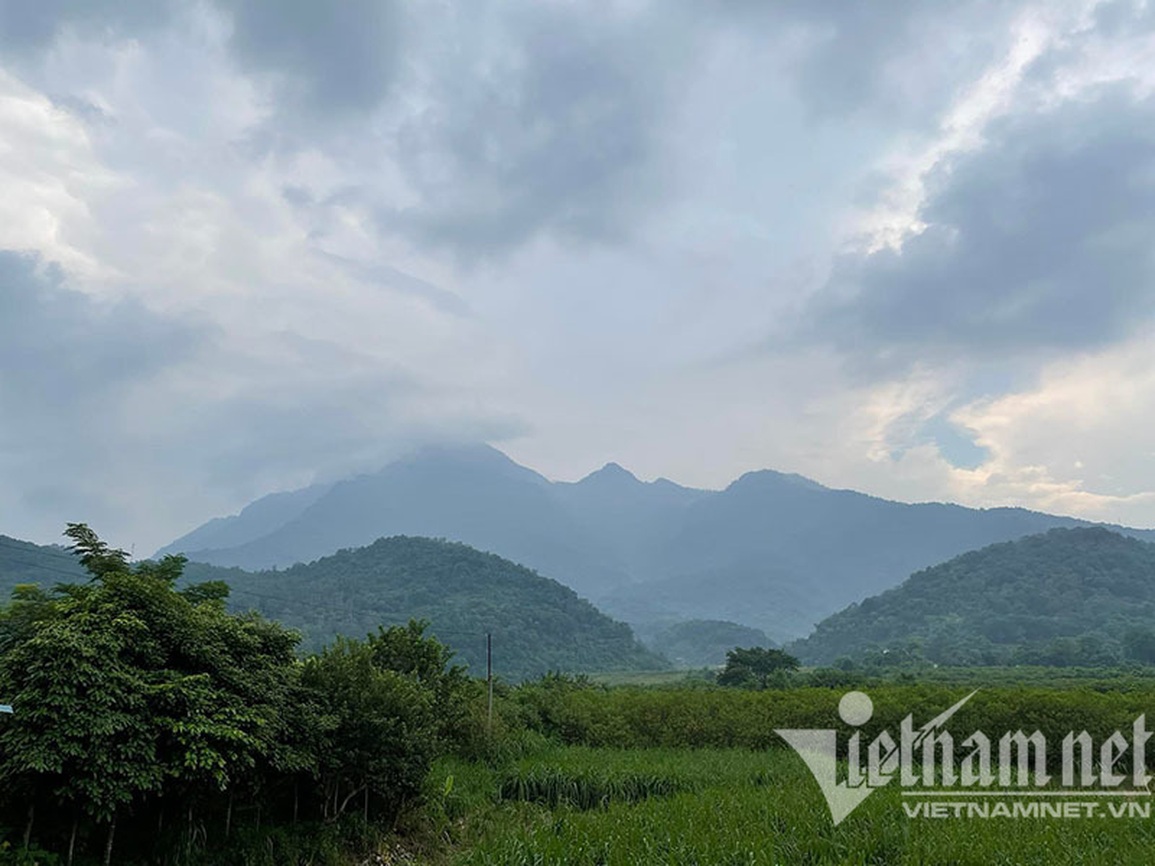 Về quê ăn Tết, giật mình giá đất tăng dựng đứng - 1 Về quê ăn Tết, giật mình giá đất tăng dựng đứng - 1
