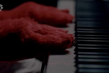 Tân binh Fred ra mắt MU