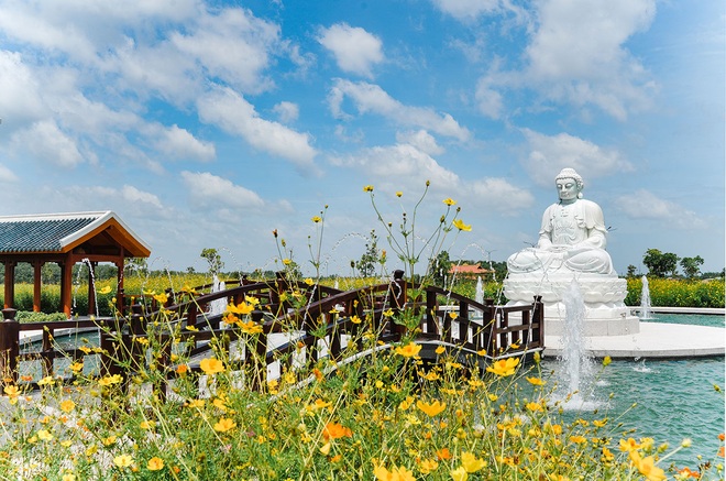 Hơi ấm lúc hoàng hôn trong khu vườn Sala - 7 Hơi ấm lúc hoàng hôn trong khu vườn Sala - 7