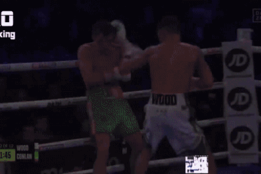 Võ sĩ bị đối thủ đấm văng khỏi sàn đấu, mừng vì tỉnh dậy ở bệnh viện